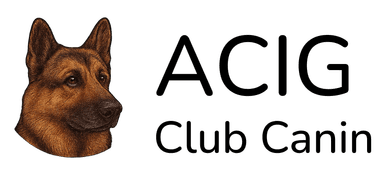 Logo ACIG